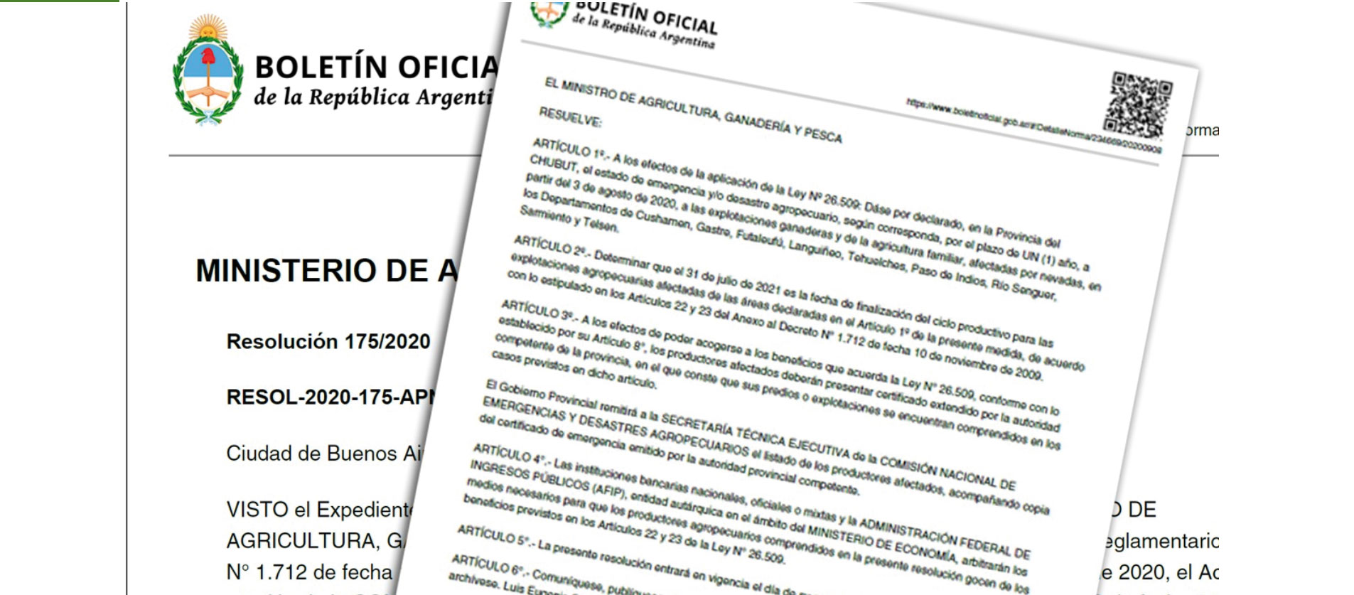 Agricultura declar&oacute; la emergencia por nevadas en Chubut