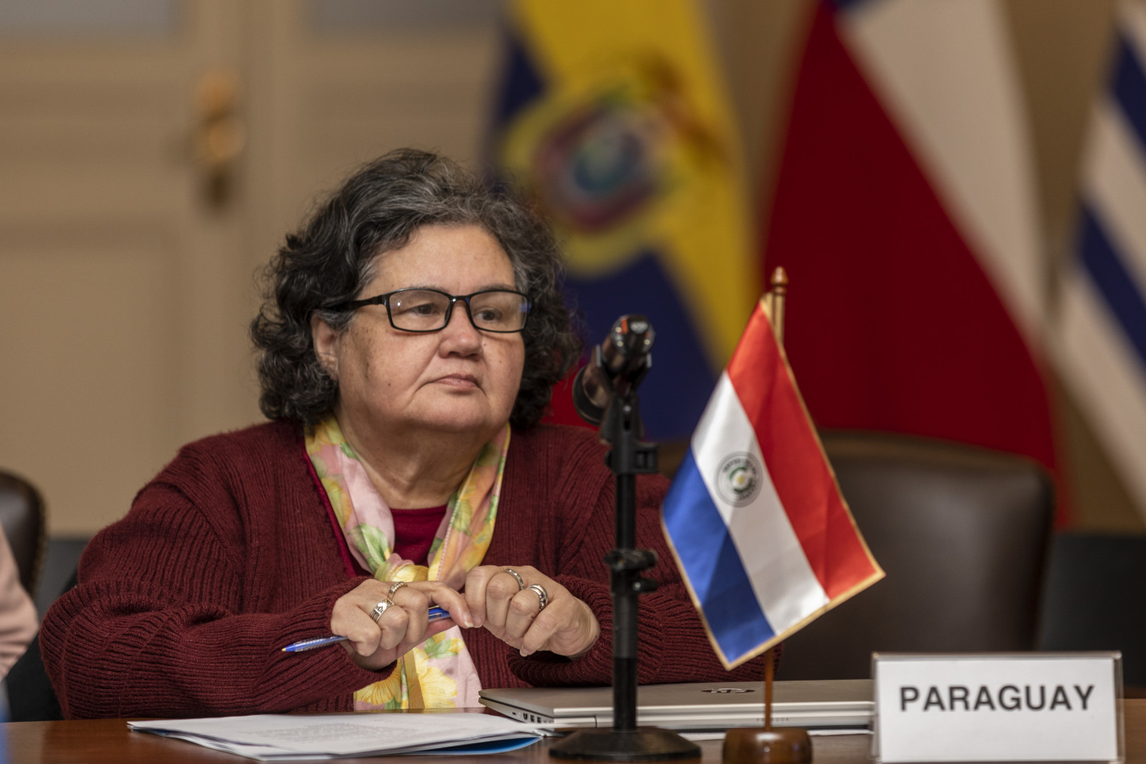 La directora de Cooperación Nacional e Internacional de Paraguay, María Teresita Silvero Salgueiro, habló sobre la importancia del MICSUR 2026.