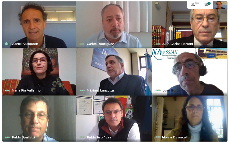 Reunion virtual Plan Estratégico INA