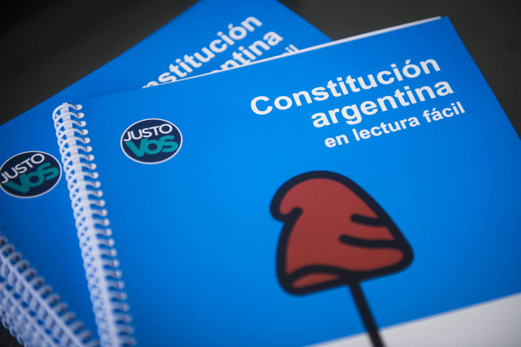 Constitución Nacional en lectura fácil