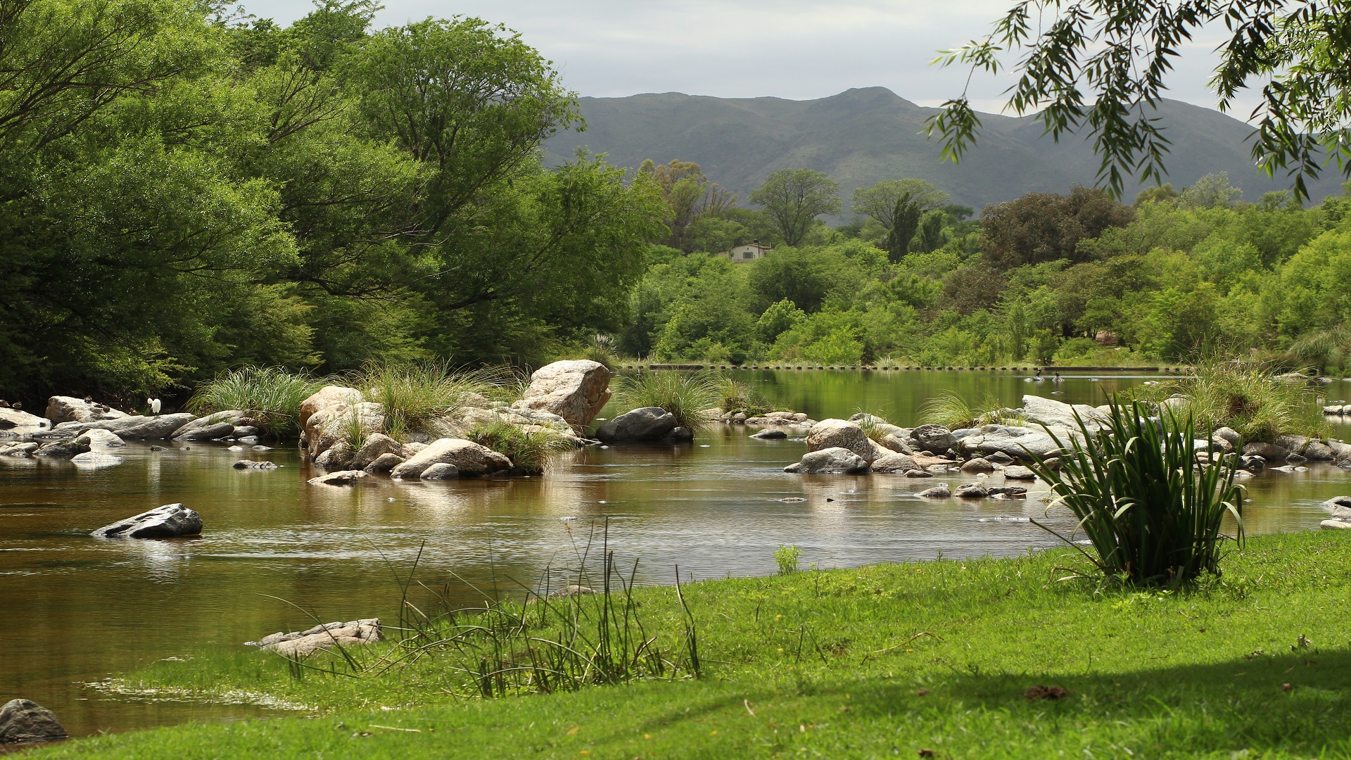 Río de los Reartes