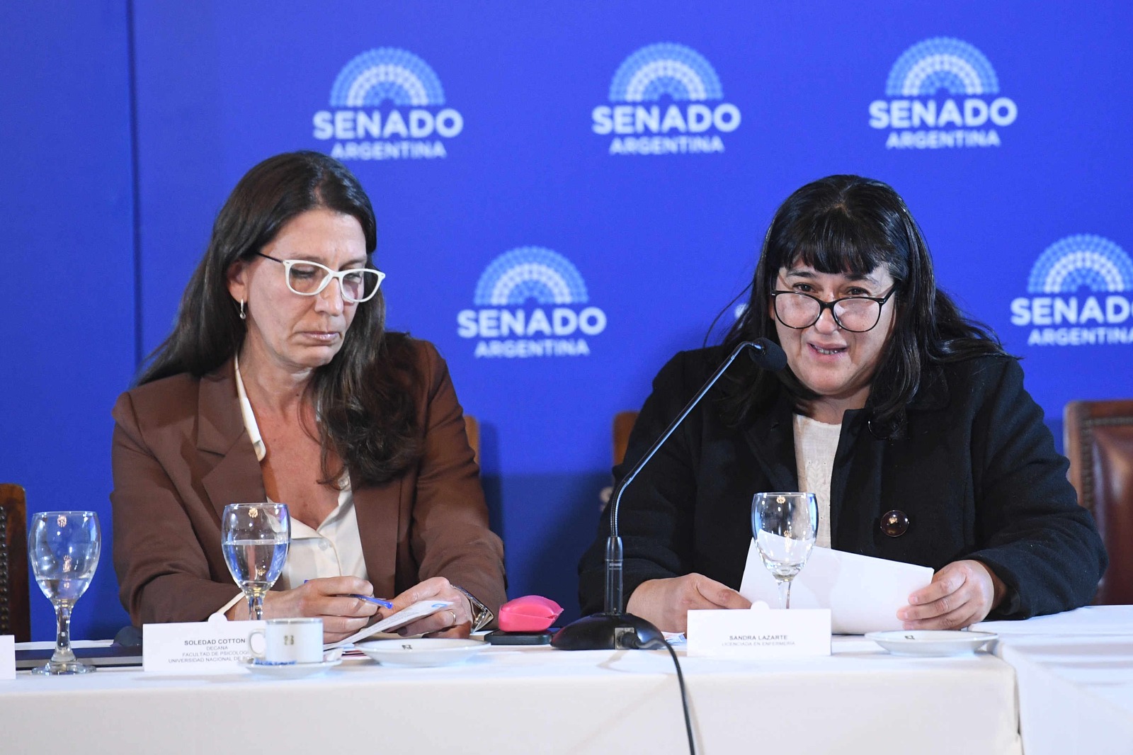 Senado Salud Mental 02 21-5-26