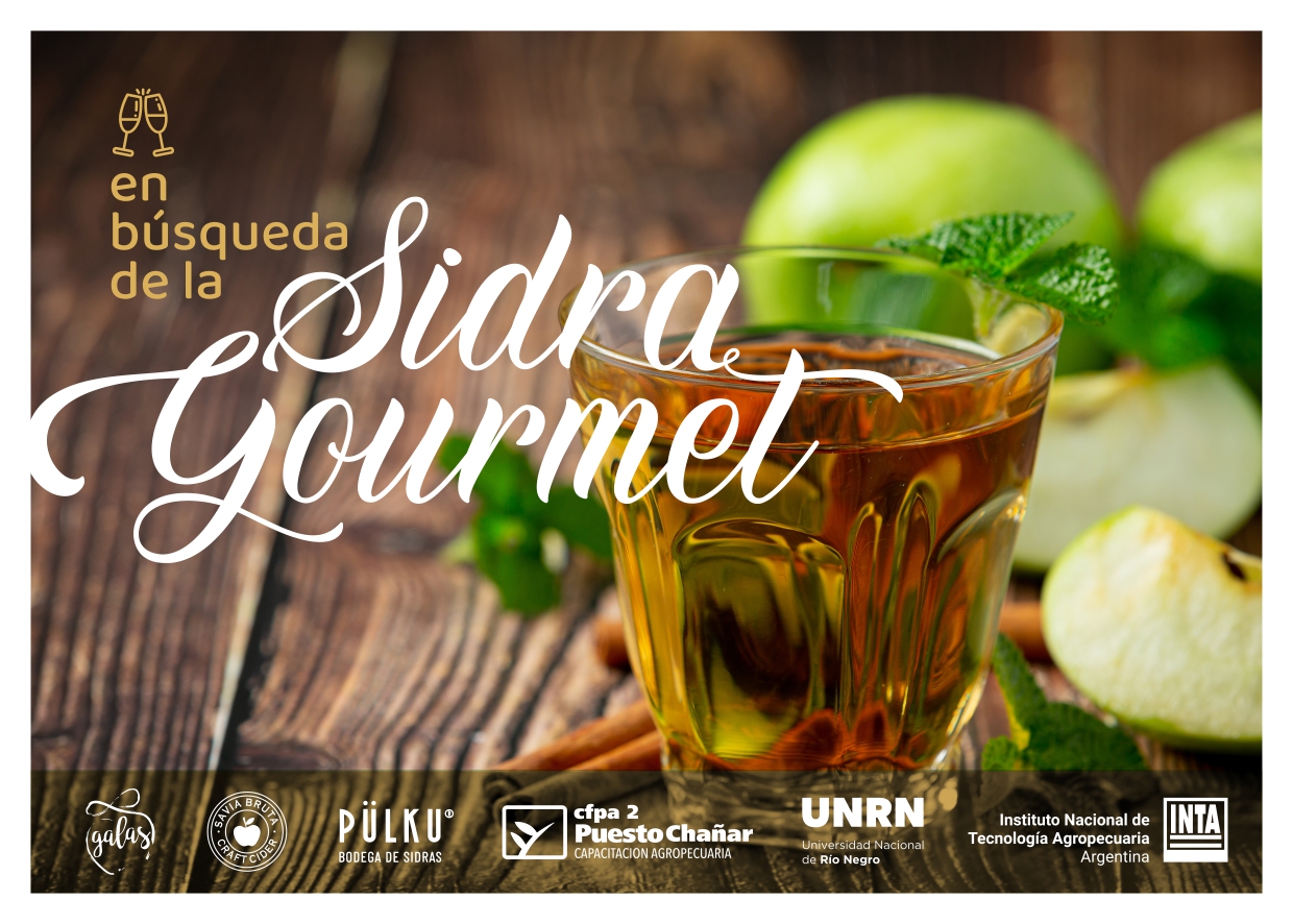 En búsqueda de una sidra gourmet