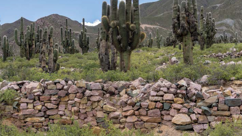 Sitio arqueológico La Huerta