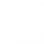 Laboratorio de Estructura y comportamiento