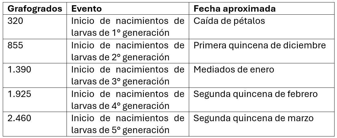 Grafolita