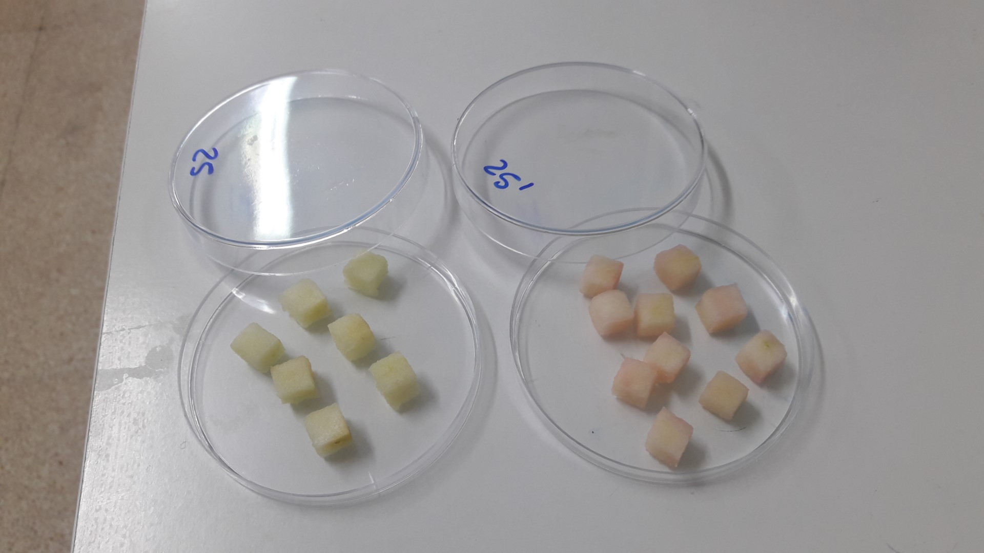 Aplicación de ultrasonidos en potencia a alimentos saludables. Aplicación de ultrasonidos en potencia a alimentos saludables.