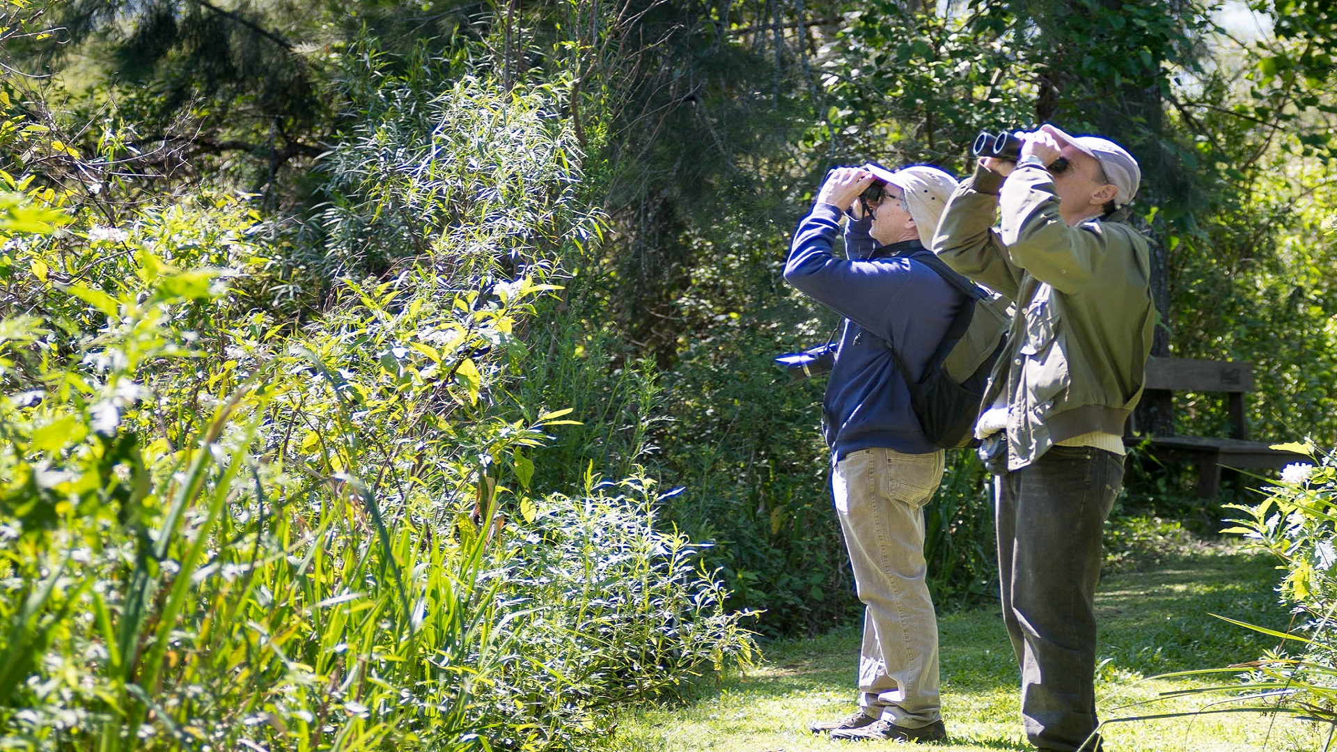 avistaje de aves en 2da sección de islas del Delta 