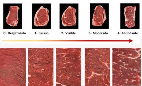 El Gobierno actualiza el sistema de tipificaci&oacute;n de la carne vacuna para fortalecer la competitividad del sector
