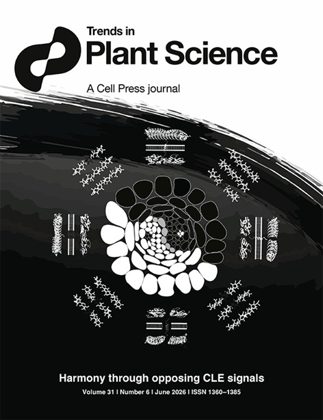 Abiotic Stress; Estrés Abiótico; Científico; Scientists; Mujer; Women; Crop Ecophysiology; Scientific Careers
