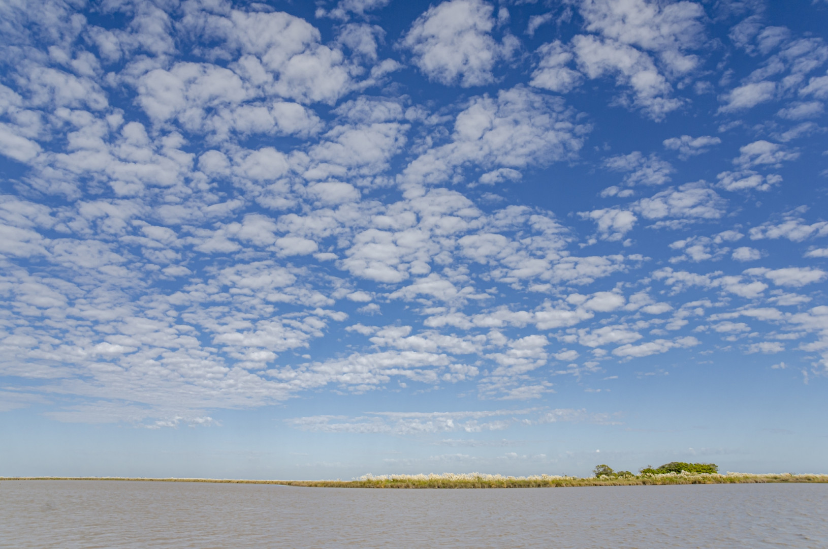 El Parque Nacional abarca un total de 3.000 hectáreas. PN Campos del Tuyú.