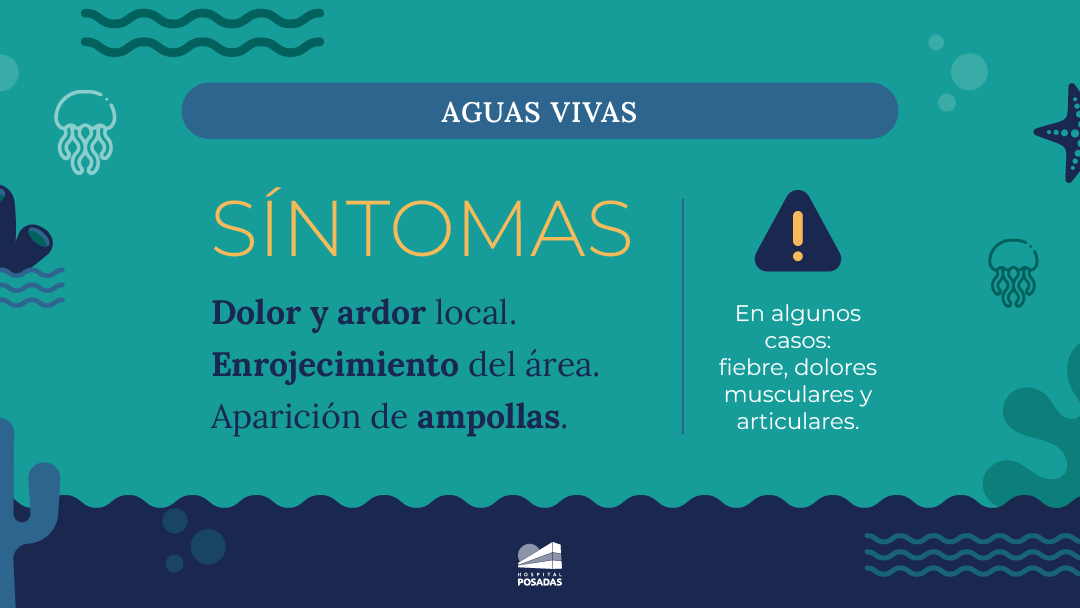 Cuidado con las aguas vivas