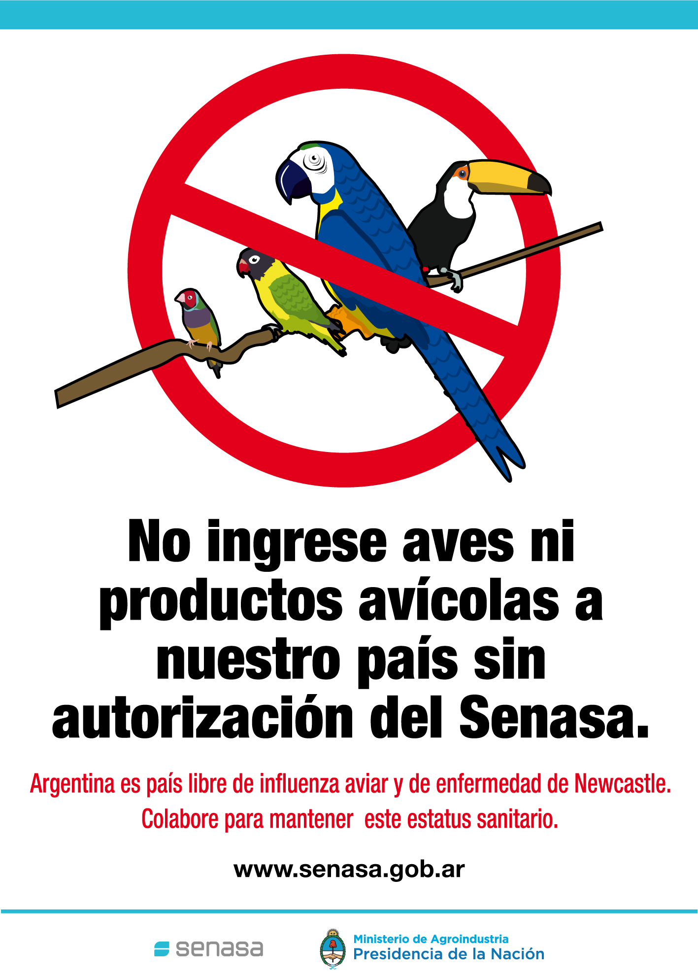 Influenza aviar Fronteras en español