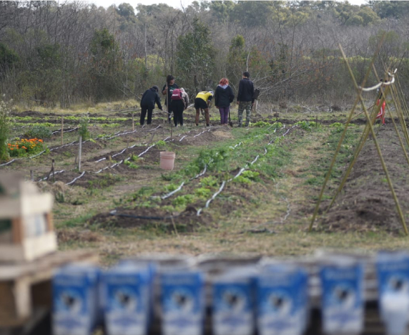 Visita a proyectos en Lujan