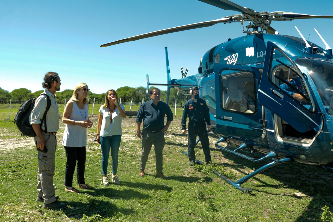 helicpotero montiel