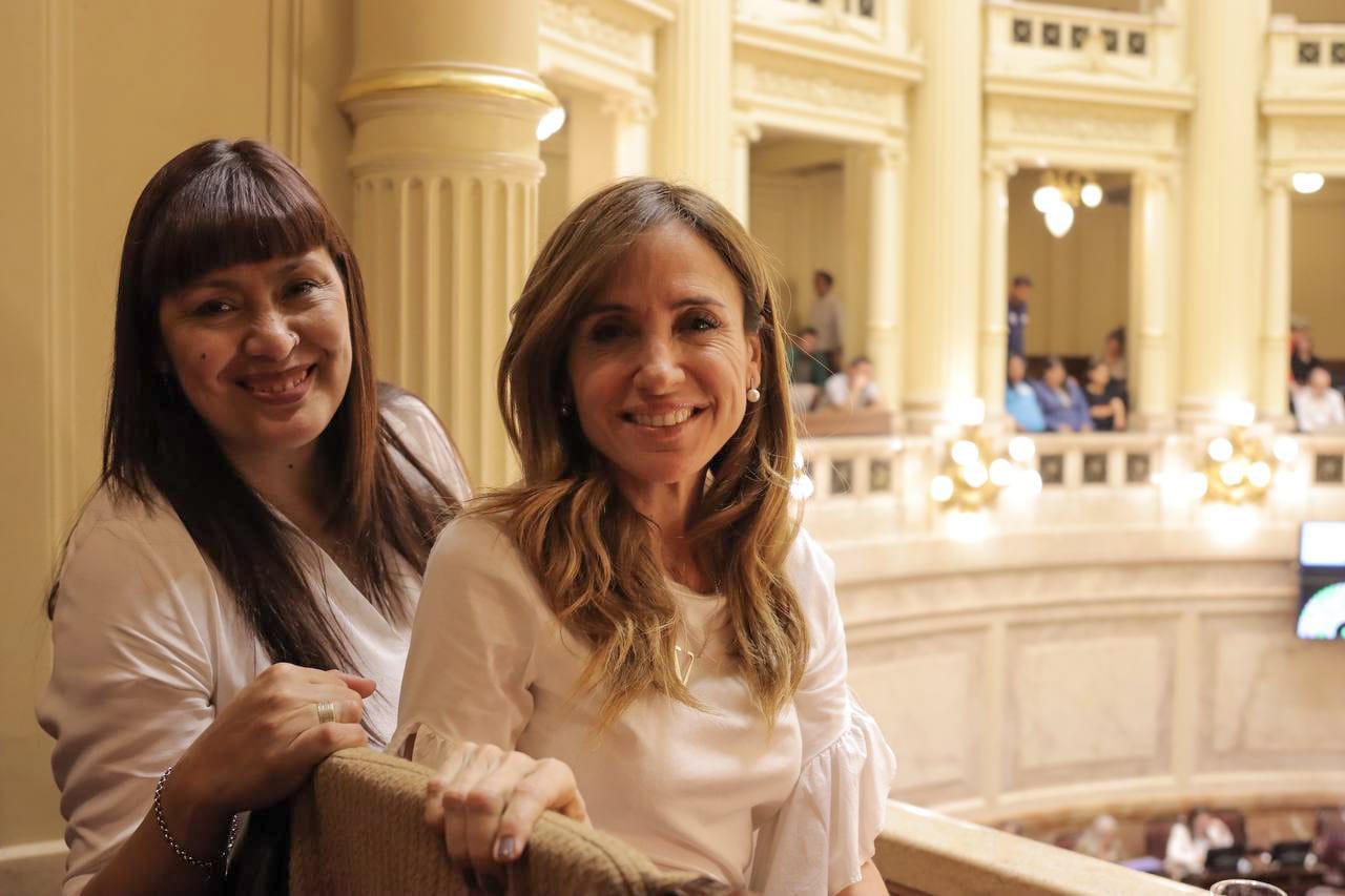 Victoria Tolosa Paz y Fernanda Miño en la sesión del Senado. 