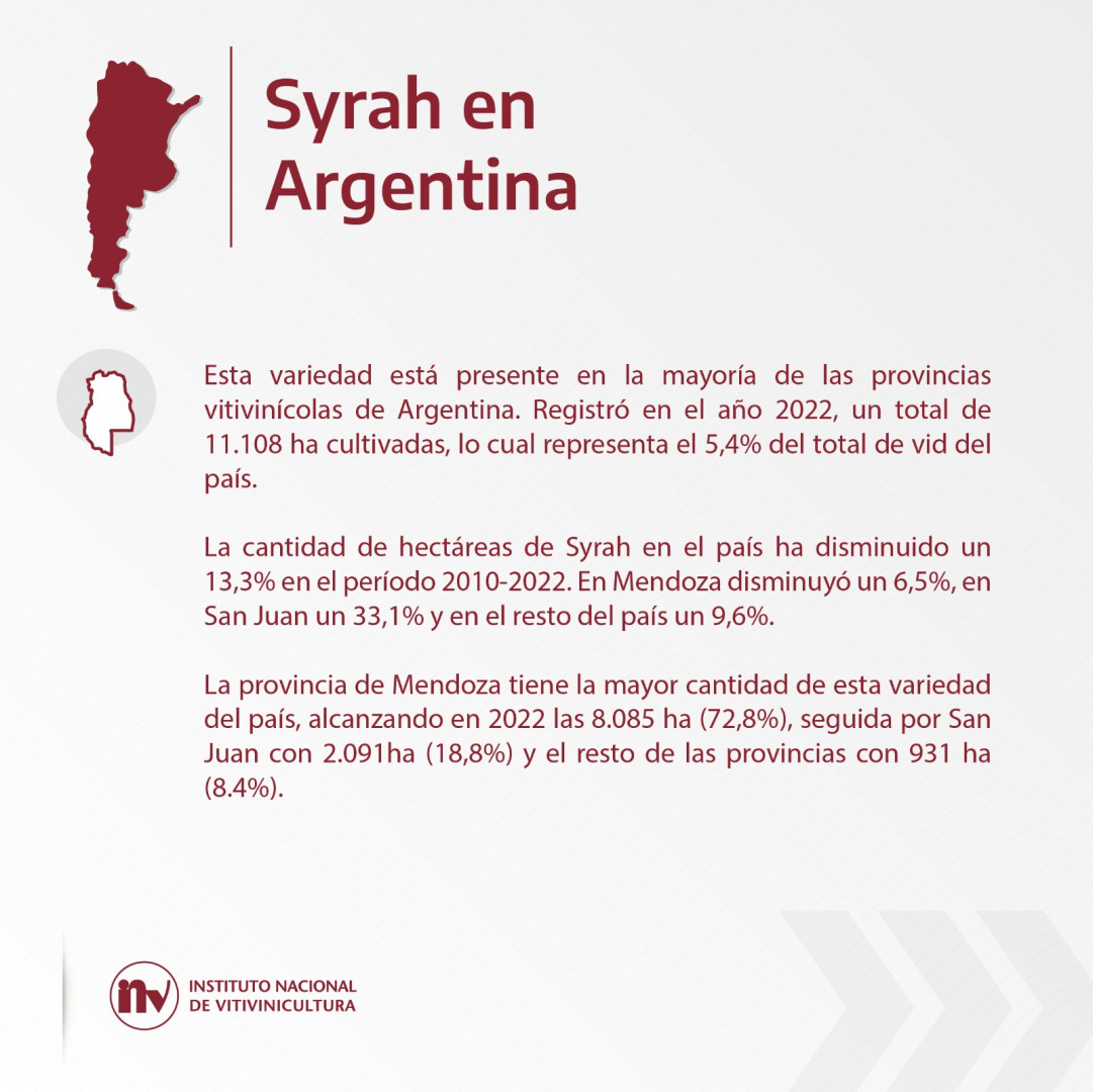 El rey de las especias: Syrah, su actualidad en Argentina