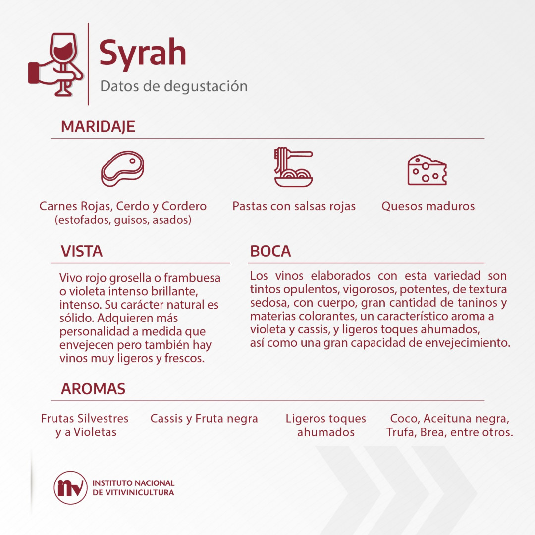 El rey de las especias: Syrah, su actualidad en Argentina