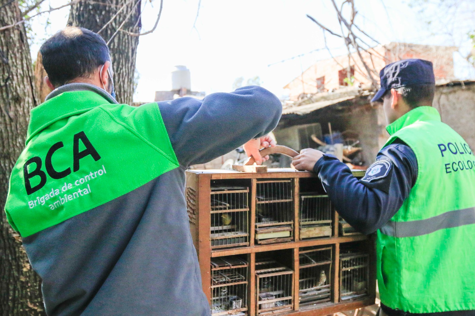 La Brigada de Control Ambiental rescató aves silvestres en Del Viso