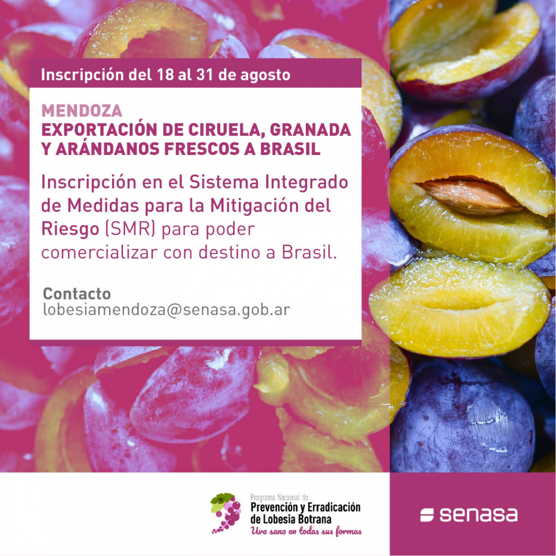 Senasa Argentina abre inscripciones para exportación de ciruelas, granadas y arándanos frescos de Mendoza a Brasil 3 whatsapp image 2023 08 18 at 11.02.01