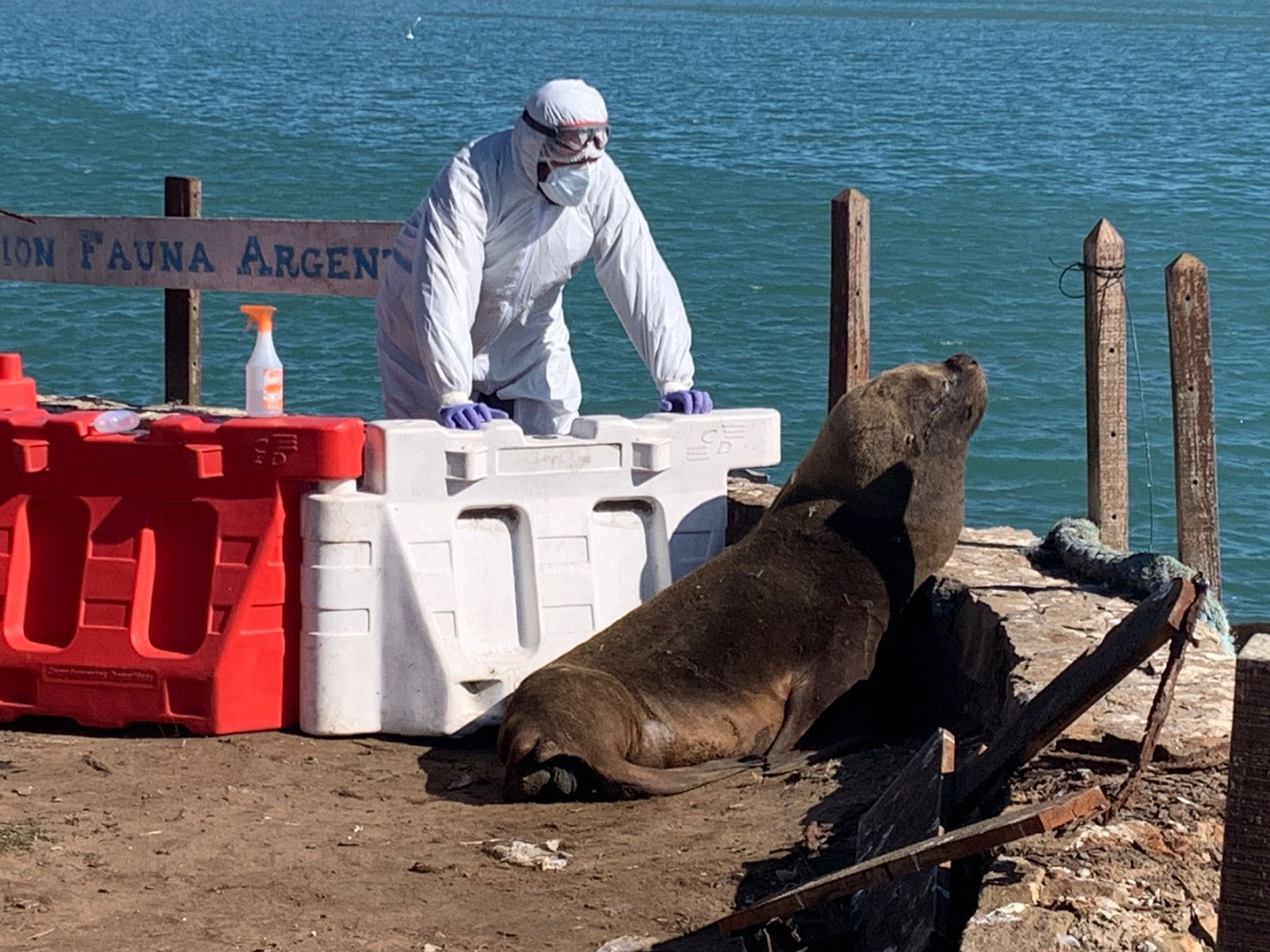 Toma de muestas Mar del Plata