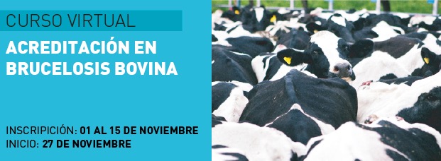 Brucelosis Bovina Noviembre 2023