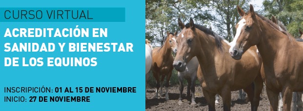 Sanidad y Bienestar Equino Noviembre 2023