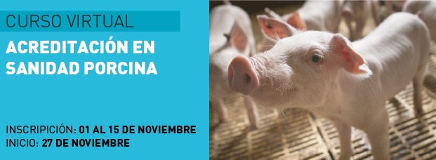 Sanidad de los Porcinos Noviembre 2023