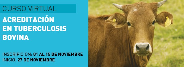 Tuberculosis Bovina Noviembre 2023