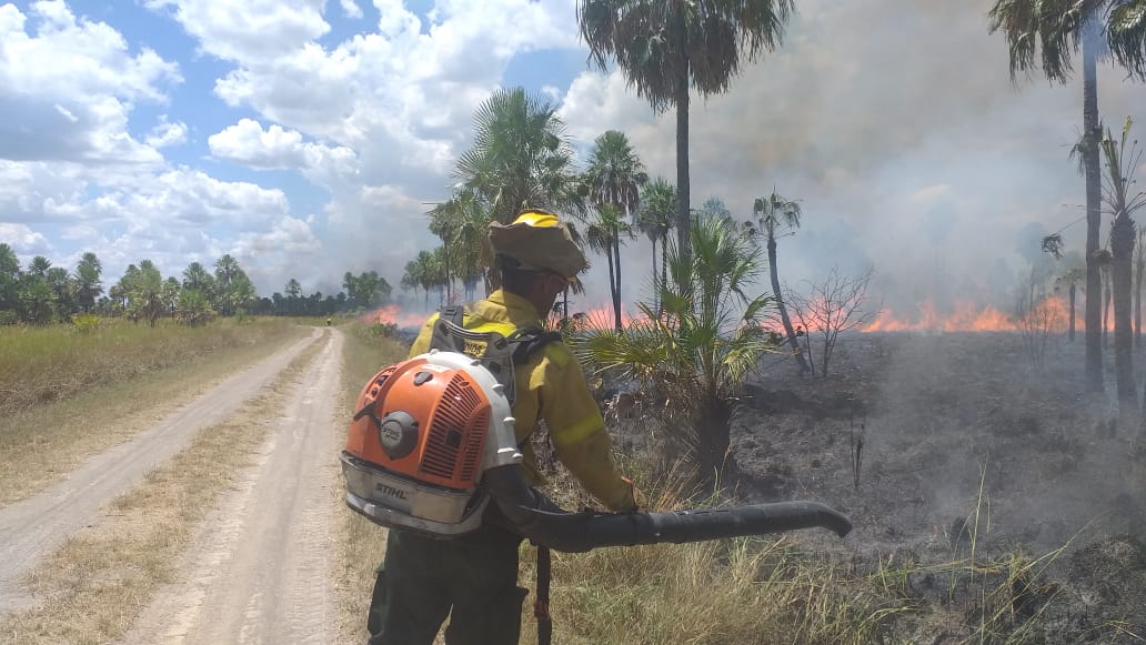 El incendio de Alerces lleva dos semanas.