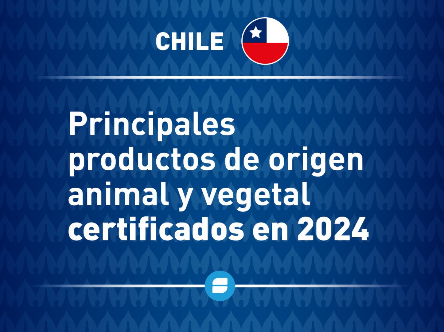 Copa América: La Argentina y Chile mantienen un comercio fluido de productos