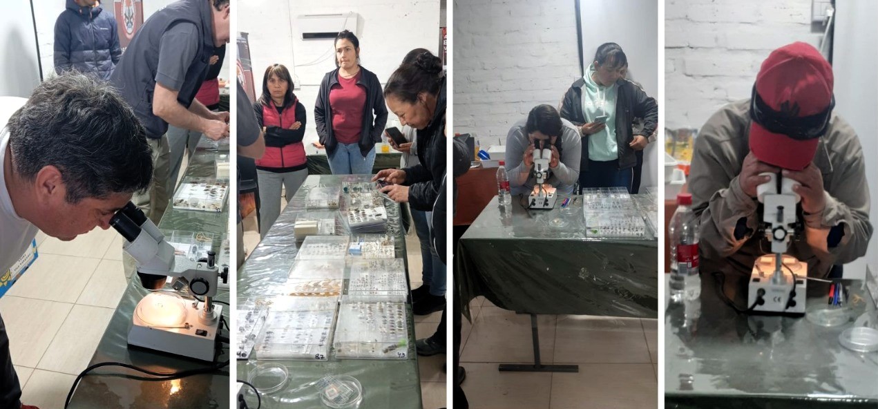 Se capacit&oacute; a monitoreadores de Chimpay para fortalecer el control de frutas frescas