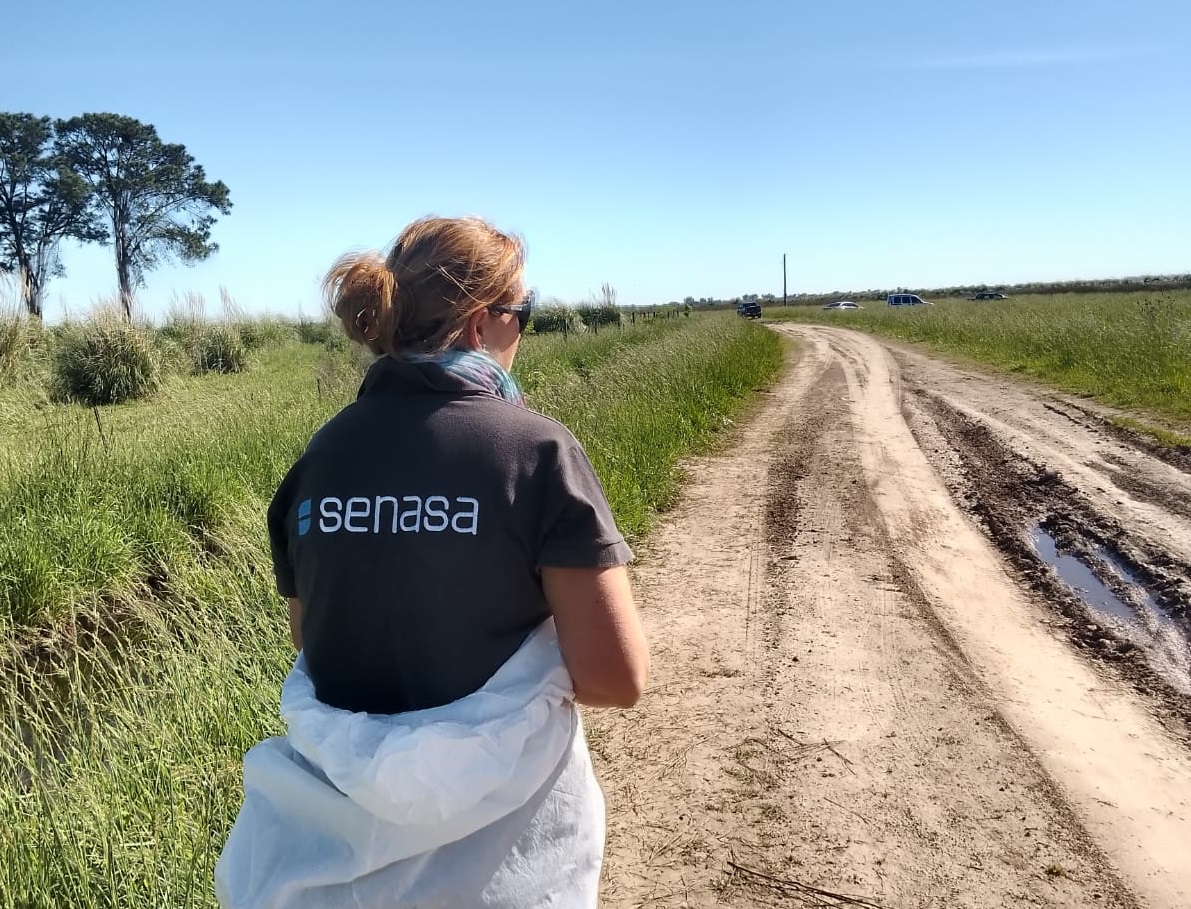 Refuerzan los controles en lagunas bonaerenses para anticipar brotes de influenza aviar