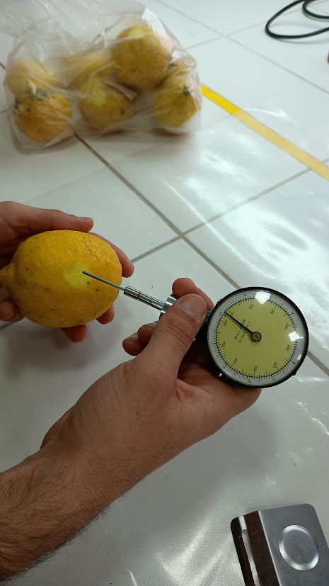 Servicio de evaluación y validación de bioinsumos en cítricos