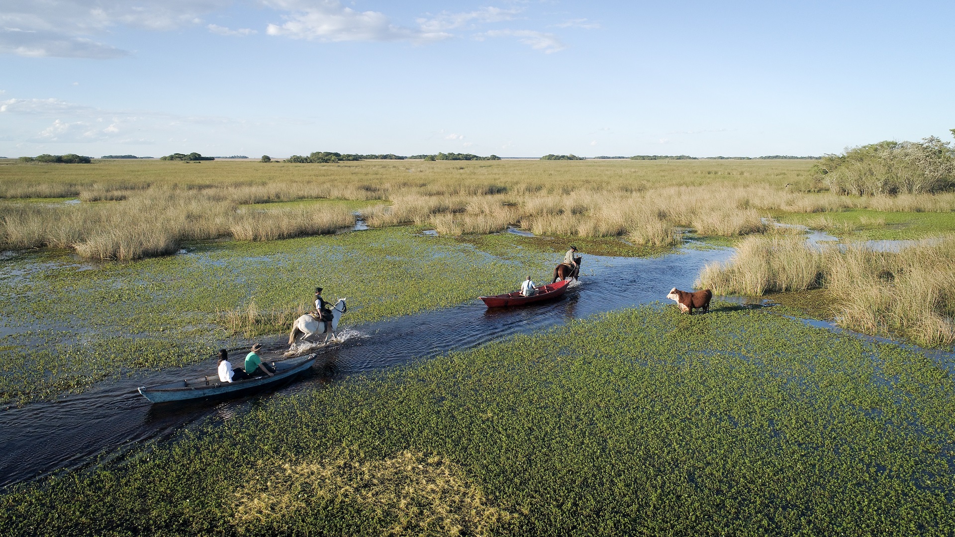 Paseo en canoa y a caballo por los Esteros del Iberá